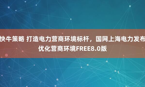 快牛策略 打造电力营商环境标杆，国网上海电力发布优化营商环境FREE8.0版