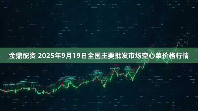 金鼎配资 2025年9月19日全国主要批发市场空心菜价格行情